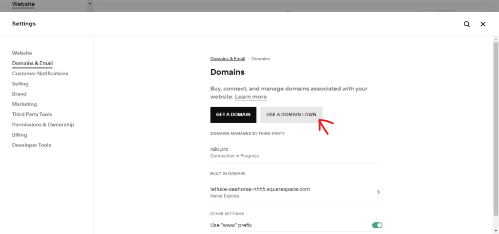 transfer domine to Squarespace website step 2